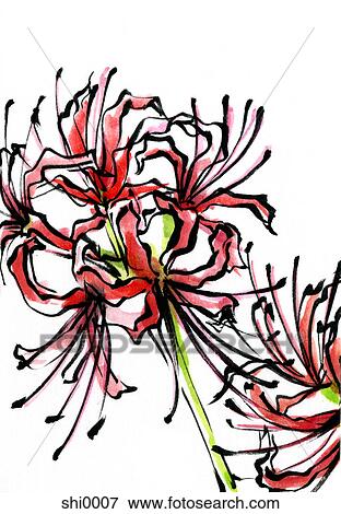 Stock Illustration - A red flower. Fotosearch
