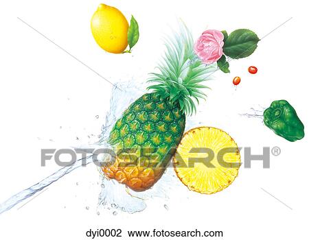 Drawing - A selection of fruits and flower being sprayed by water. Fotosearch