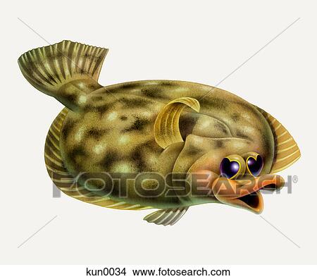 A Sole fish View Large Illustration Stock Illustration - A Sole fish. Fotosearch