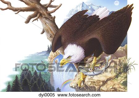An eagle perched high on top of a cliff View Large Illustration Stock Illustration - An eagle perched high on top of a cliff. Fotosearch