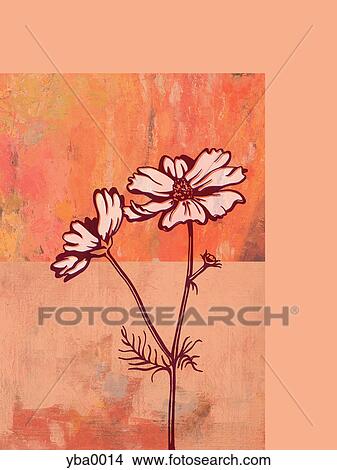 Stock Illustration - An illustration of a Daisy flower. Fotosearch