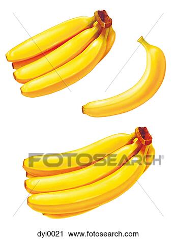 Clip Art - An illustration of bunches of bananas. Fotosearch