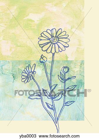 Drawing - An illustration of daisies. Fotosearch
