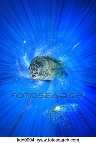 Fishing Japanese black porgy View Large Illustration Stock Illustration - Fishing Japanese black porgy. Fotosearch