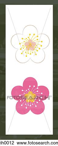 Illustration of a pink and a white flower View Large Illustration Drawing - Illustration of a pink and a white flower. Fotosearch