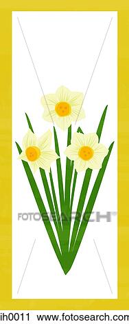 Clip Art - Illustration of three daffodils. Fotosearch