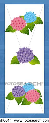 Illustration of three Hydrangea plants View Large Illustration Stock Illustration - Illustration of three Hydrangea plants. Fotosearch