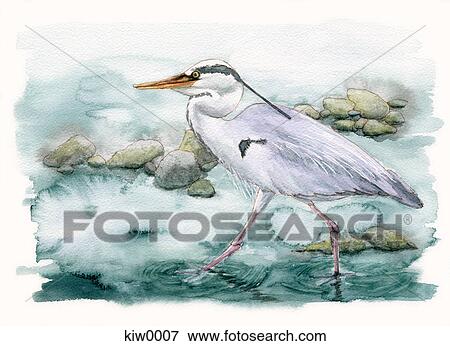 Painting of a bird by the sea View Large Illustration Stock Illustration - Painting of a bird by the sea. Fotosearch