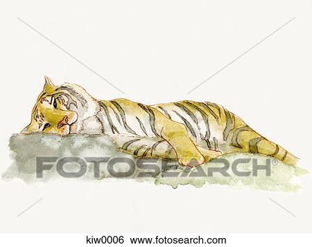 Painting of a sleeping tiger View Large Illustration Stock Illustration - Painting of a sleeping tiger. Fotosearch