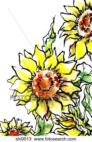Sun flowers View Large Illustration Drawing - Sun flowers. Fotosearch