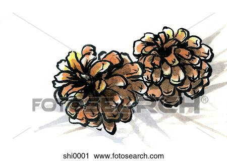 Clip Art - Two pine cones. Fotosearch