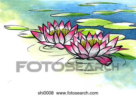 Stock Illustration - Two water lilies. Fotosearch