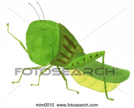 Illustration of a grasshopper View Large Illustration Clipart - Illustration of a grasshopper. Fotosearch