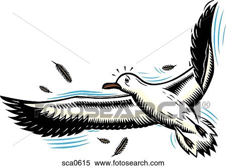Illustration of a seagull View Large Illustration Stock Illustration - Illustration of a seagull. Fotosearch