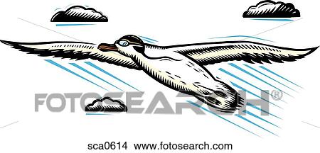 Illustration of a seagull wearing a hat View Large Illustration Stock Illustration - Illustration of a seagull wearing a hat. Fotosearch