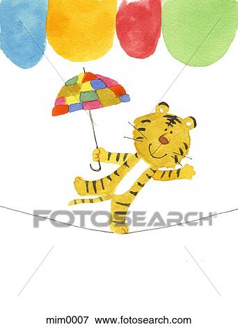Illustration of a tiger walking a tight rope with a colorful umbrella View Large Illustration Stock Illustration - Illustration of a tiger walking a tight rope with a colorful umbrella. Fotosearch