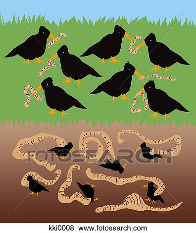 Stock Illustration - Illustration of black birds and worms. Fotosearch