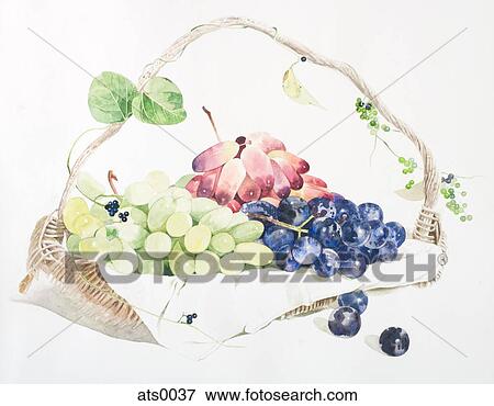 A basket of fruit View Large Illustration Stock Illustration - A basket of fruit. Fotosearch
