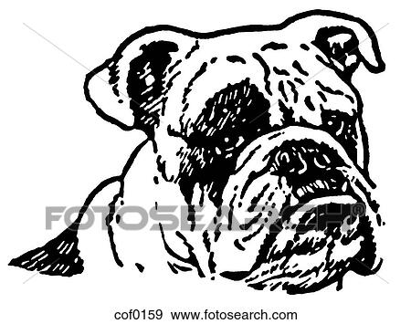 A black and white version of an unhappy looking Bulldog View Large Illustration Stock Illustration - A black and white version of an unhappy looking Bulldog. Fotosearch