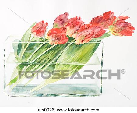 A bouquet of tulips in a rectangular vase View Large Illustration Stock Illustration - A bouquet of tulips in a rectangular vase. Fotosearch