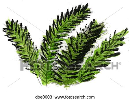 A bunch of ferns View Large Illustration Drawing - A bunch of ferns. Fotosearch