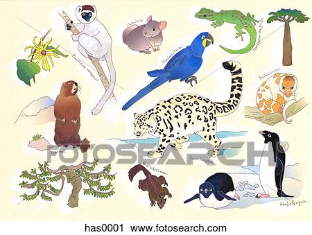 Clip Art - A canvas of different animals. Fotosearch