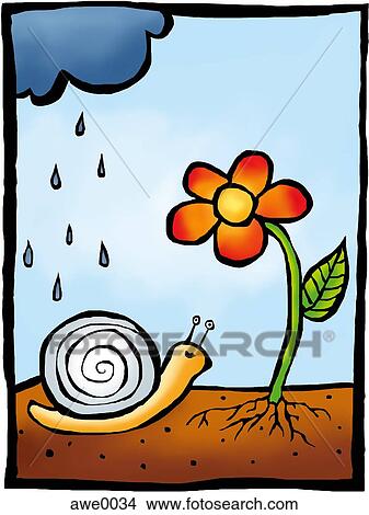A drawing of a snail approaching a flower with a showering rain cloud above View Large Illustration Stock Illustration - A drawing of a snail approaching a flower with a showering rain cloud above. Fotosearch