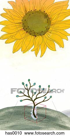 A large sun flower over a small tree View Large Illustration Clipart - A large sun flower over a small tree. Fotosearch