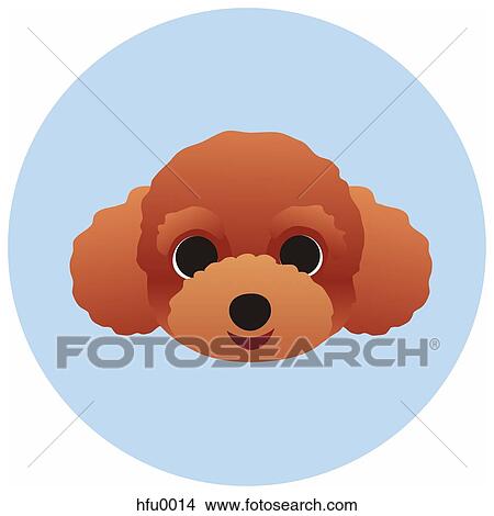 A Poodle on a blue circular background View Large Illustration Stock Illustration - A Poodle on a blue circular background. Fotosearch