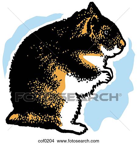 An illustration of a hamster standing on its hind legs View Large Illustration Stock Illustration - An illustration of a hamster standing on its hind legs. Fotosearch