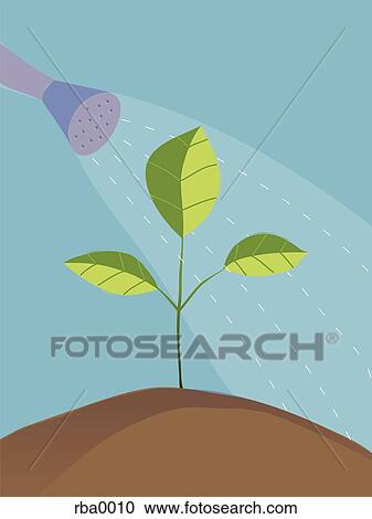 An illustration of a seedling being watered View Large Illustration Clipart - An illustration of a seedling being watered. Fotosearch