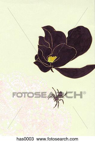 Drawing - An illustration of a white flower and spider. Fotosearch
