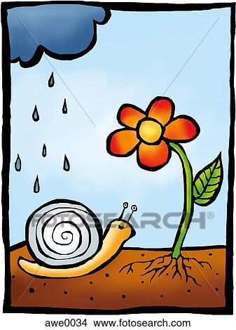  Dessins  dessin  de a escargot approchant a fleur  