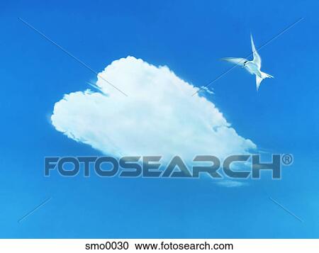 Clipart - Bird flying in sky with heart shaped cloud. Fotosearch