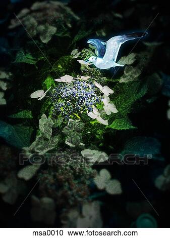 Clipart - Bird flying over flowerbed. Fotosearch