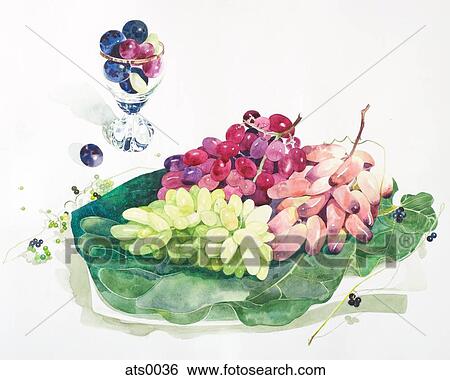 Bunches of grapes on a platter View Large Illustration Stock Illustration - Bunches of grapes on a platter. Fotosearch