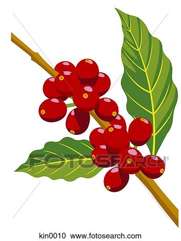 Clipart - Close-up of berries on branch. Fotosearch
