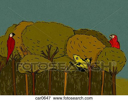 Frog and parrots in forest View Large Illustration Stock Illustration - Frog and parrots in forest. Fotosearch