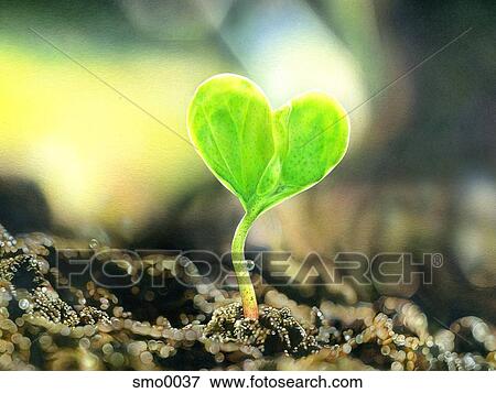 Stock Illustration - Heart shaped clover. Fotosearch