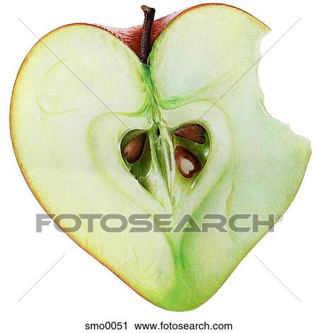 Heart shaped halved apple with missing bite View Large Illustration Clip Art - Heart shaped halved apple with missing bite. Fotosearch