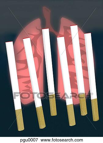 Line of cigarettes in front of lungs View Large Illustration Stock Illustration - Line of cigarettes in front of lungs. Fotosearch