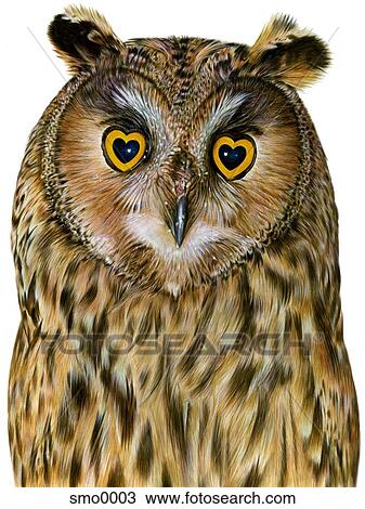 Drawing - Owl with heart shaped eyes. Fotosearch