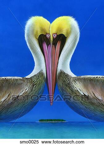 Pelicans forming heart shape on tropical beach View Large Illustration Stock Illustration - Pelicans forming heart shape on tropical beach. Fotosearch