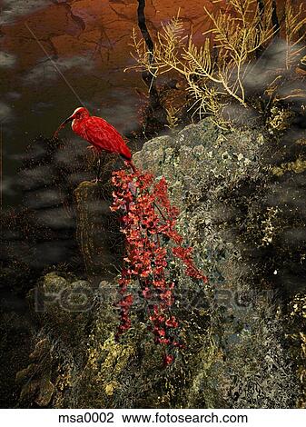 Drawing - Red bird perching on cliff. Fotosearch