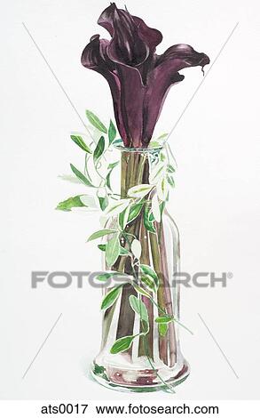 Tall stemmed purple lilies in a vase View Large Illustration Stock Illustration - Tall stemmed purple lilies in a vase. Fotosearch
