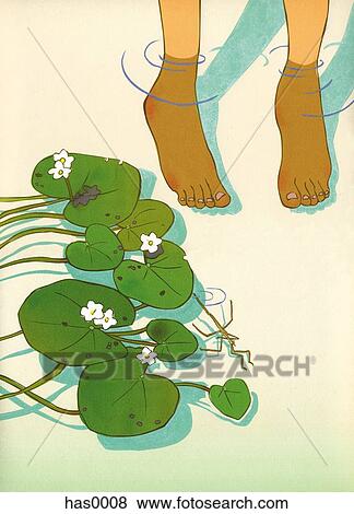 Two feet in a pond with Lilly pads and flowers View Large Illustration Stock Illustration - Two feet in a pond with Lilly pads and flowers. Fotosearch