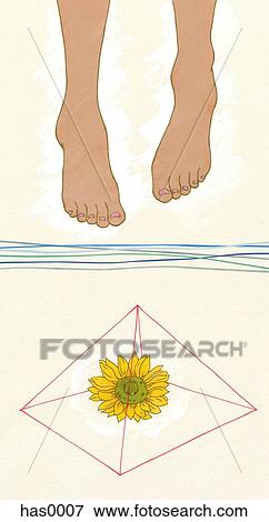 Stock Illustration - Two feet over a sunflower encased by a pyramid. Fotosearch