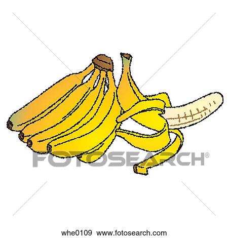 A banana bunch and a peeled banana View Large Illustration Stock Illustration - A banana bunch and a peeled banana. Fotosearch