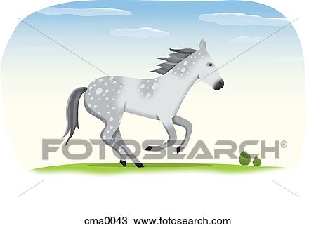 A grey and white horse View Large Illustration Drawing - A grey and white horse. Fotosearch