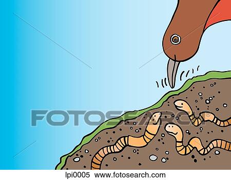 Stock Illustration - A robin an an earthworm. Fotosearch